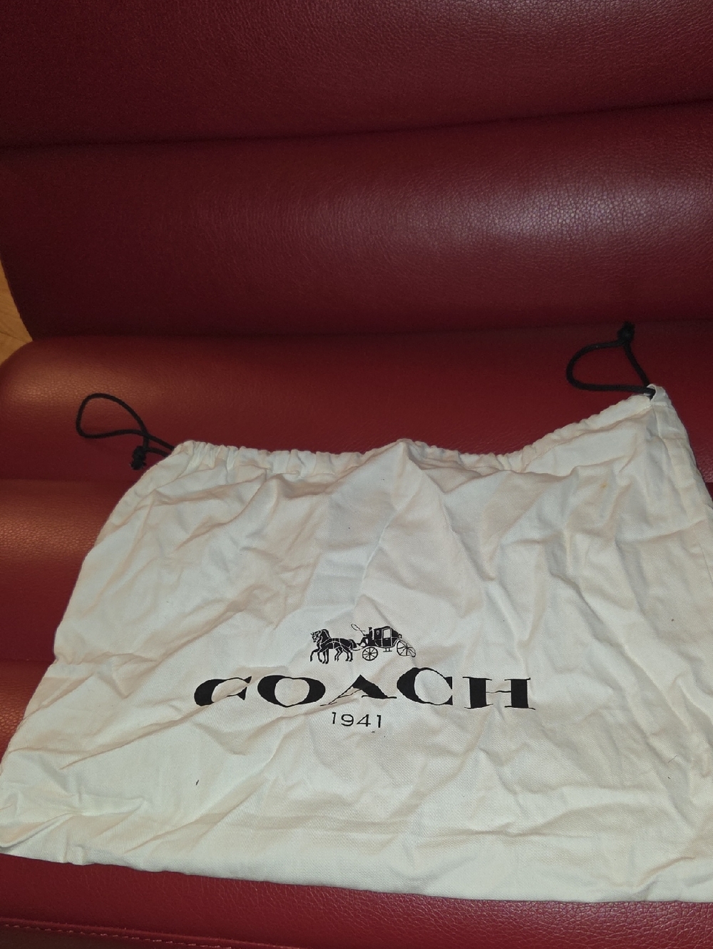 Coach White Dust Bag with Black Logo